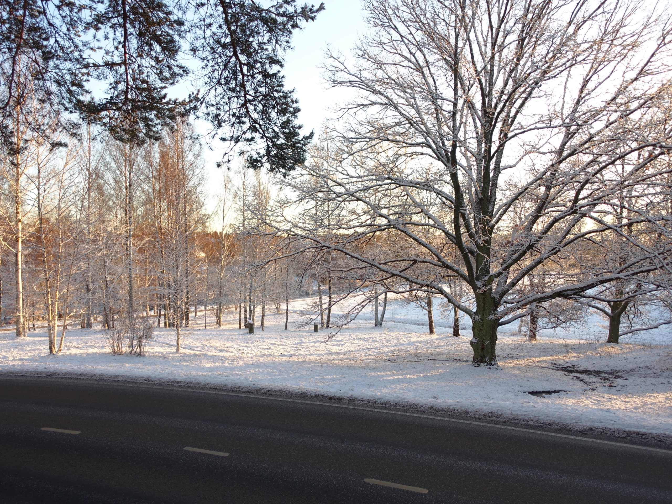 Vantaan turvallisuus puhuttaa, mutta toivoa on